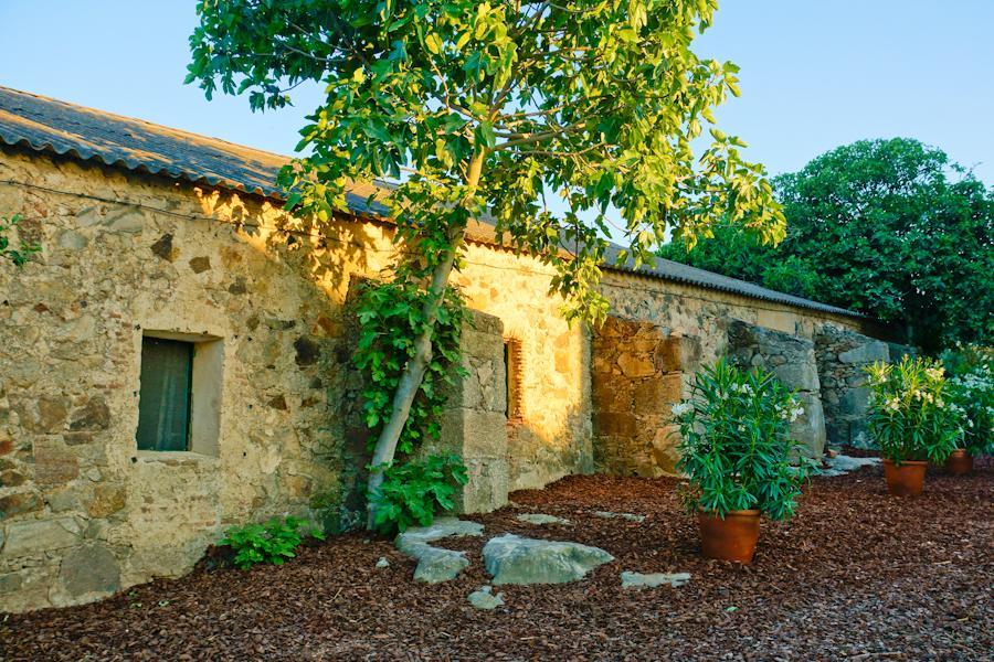Casa Rural Castillo De Caces エクステリア 写真