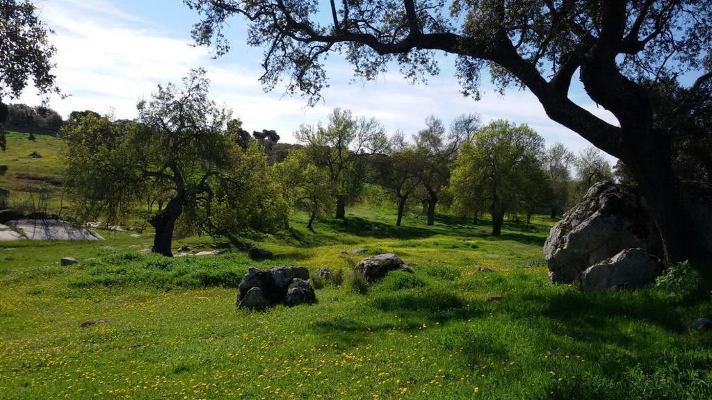 Casa Rural Castillo De Caces エクステリア 写真